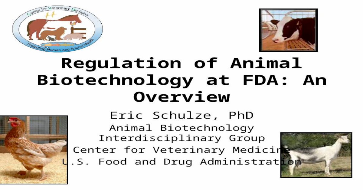 phd animal biotechnology