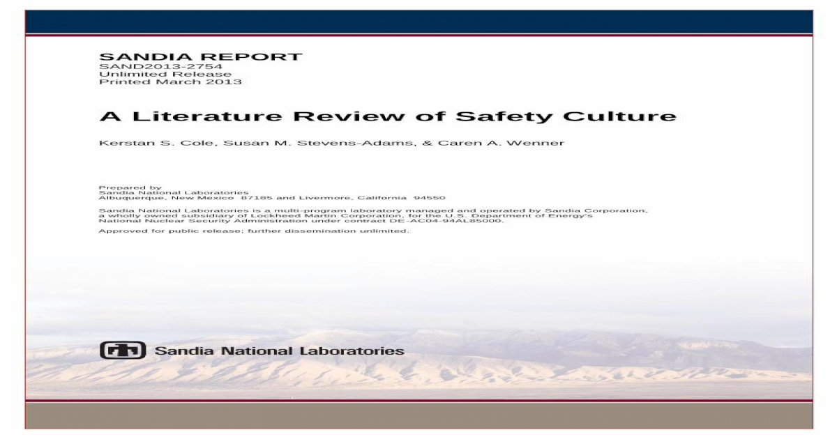 literature review safety management