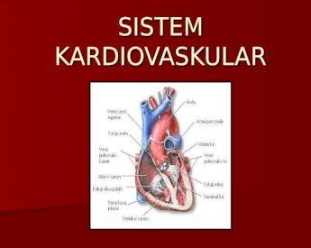 Sistem kardiovaskular terdiri daripada